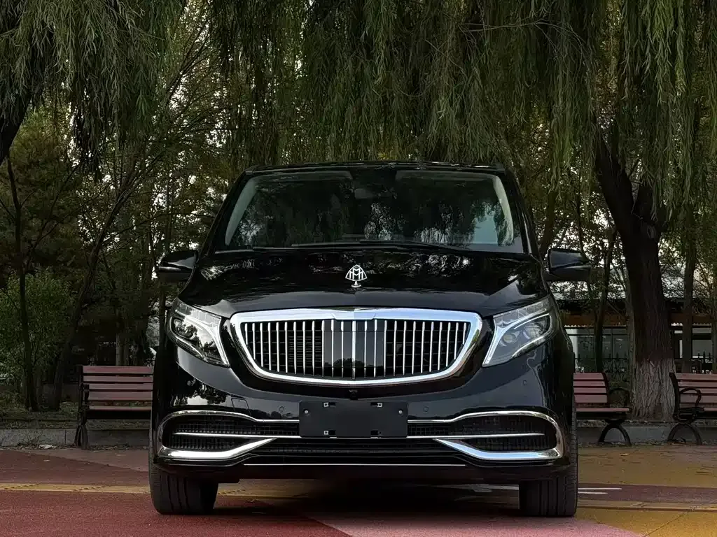 Mercedes-Benz Vito 2023 из CN, фото 2