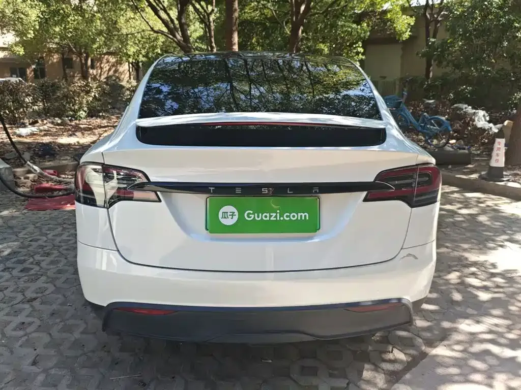 Tesla Model X 2023 из CN, фото 6