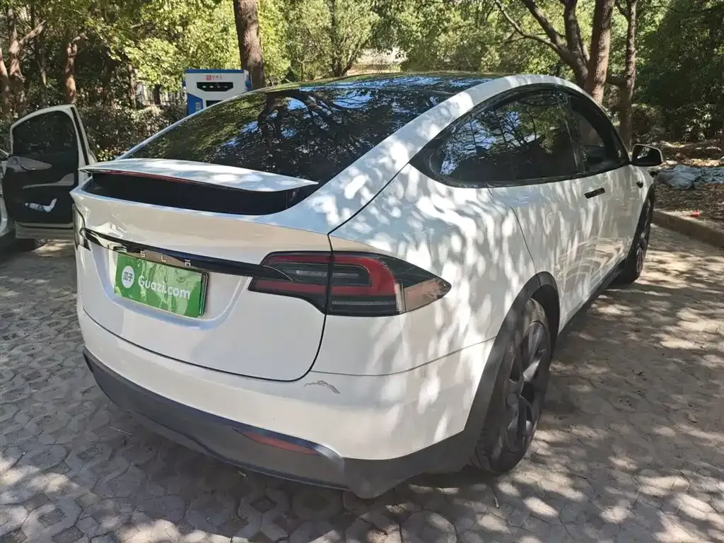 Tesla Model X 2023 из CN, фото 7