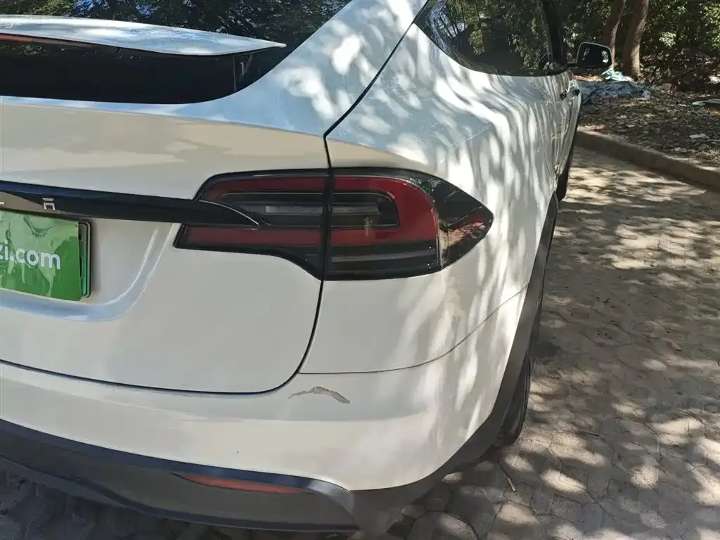 Tesla Model X 2023 из CN, фото 8