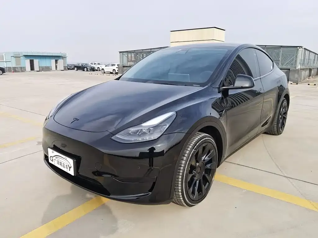 Tesla Model Y 2022 из CN, фото 3