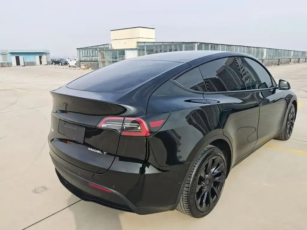 Tesla Model Y 2022 из CN, фото 4