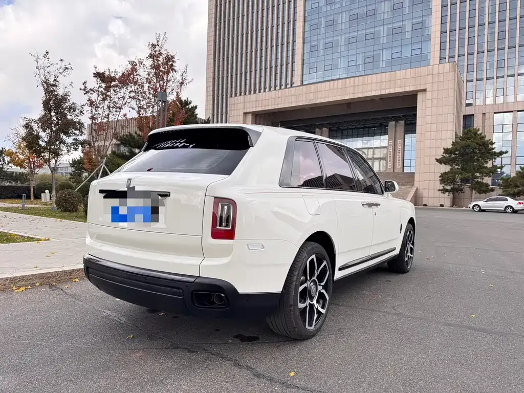 Rolls-Royce Cullinan 2021 из CN, фото 8