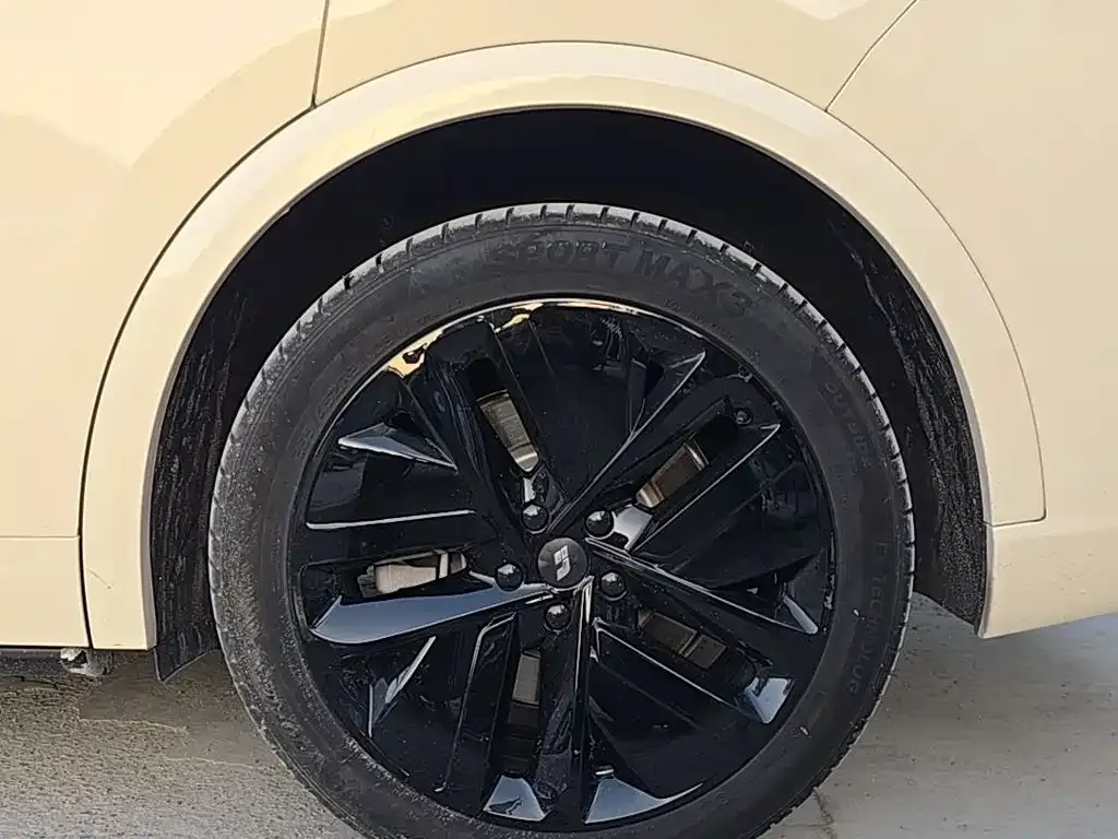 Li Auto L9 2022 из CN, фото 7