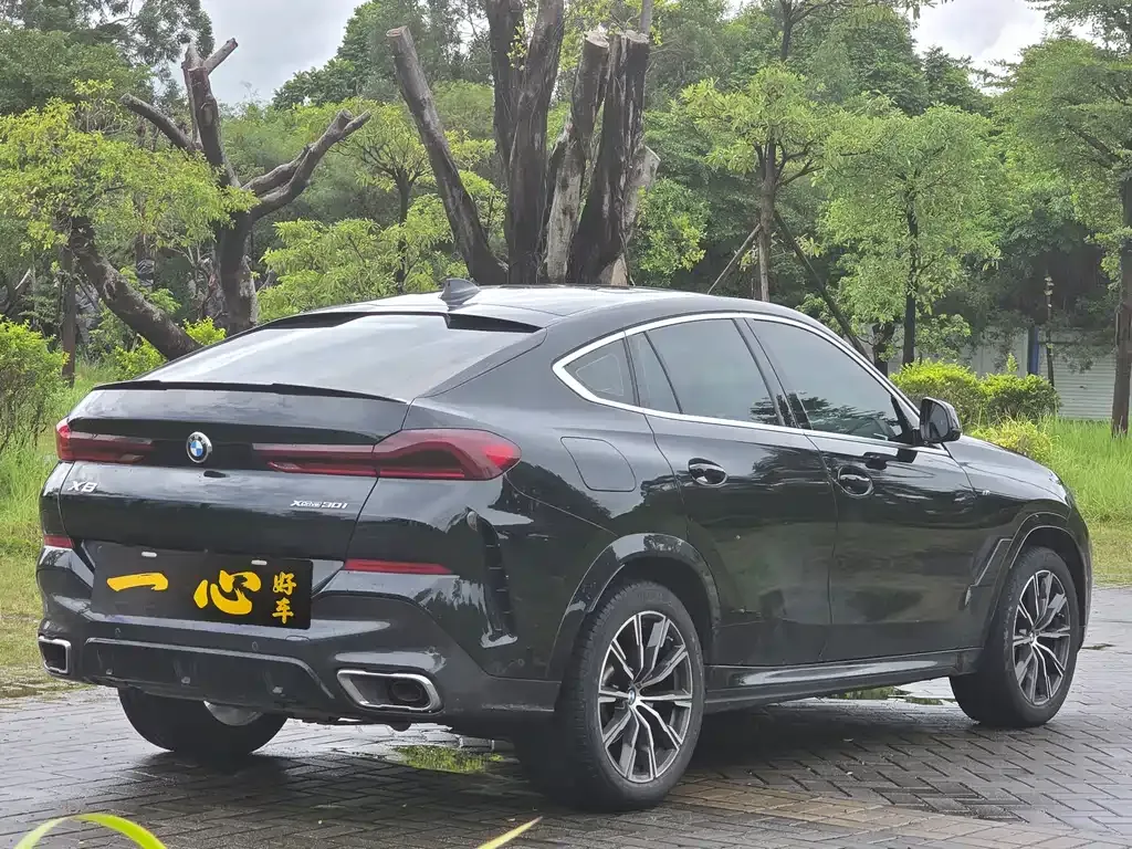 BMW X6 2021 из CN, фото 10