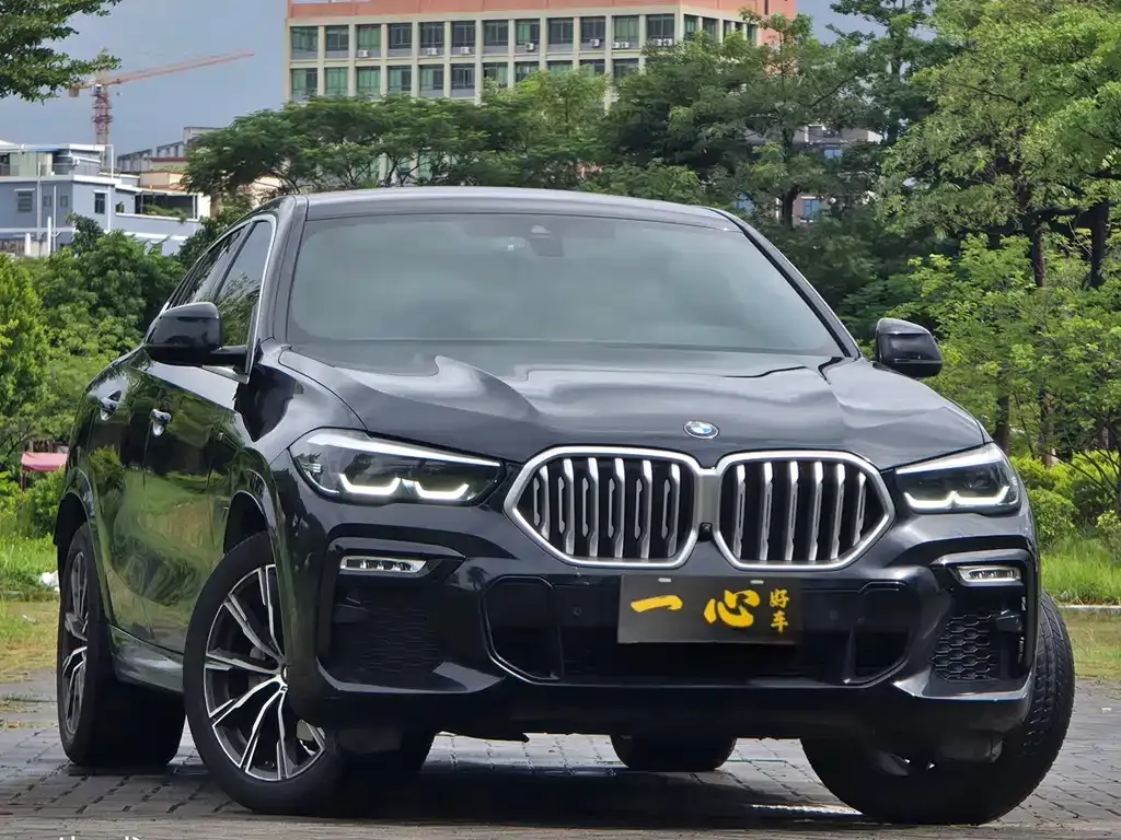 BMW X6 2021 из CN, фото 3