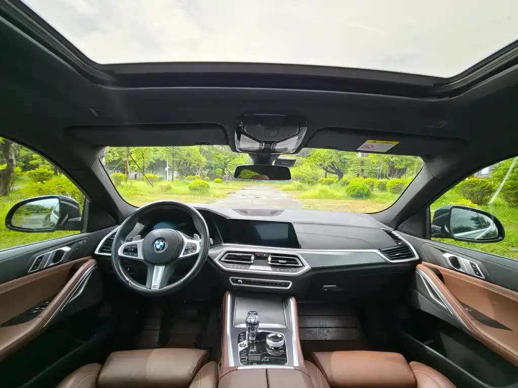 BMW X6 2021 из CN, фото 5