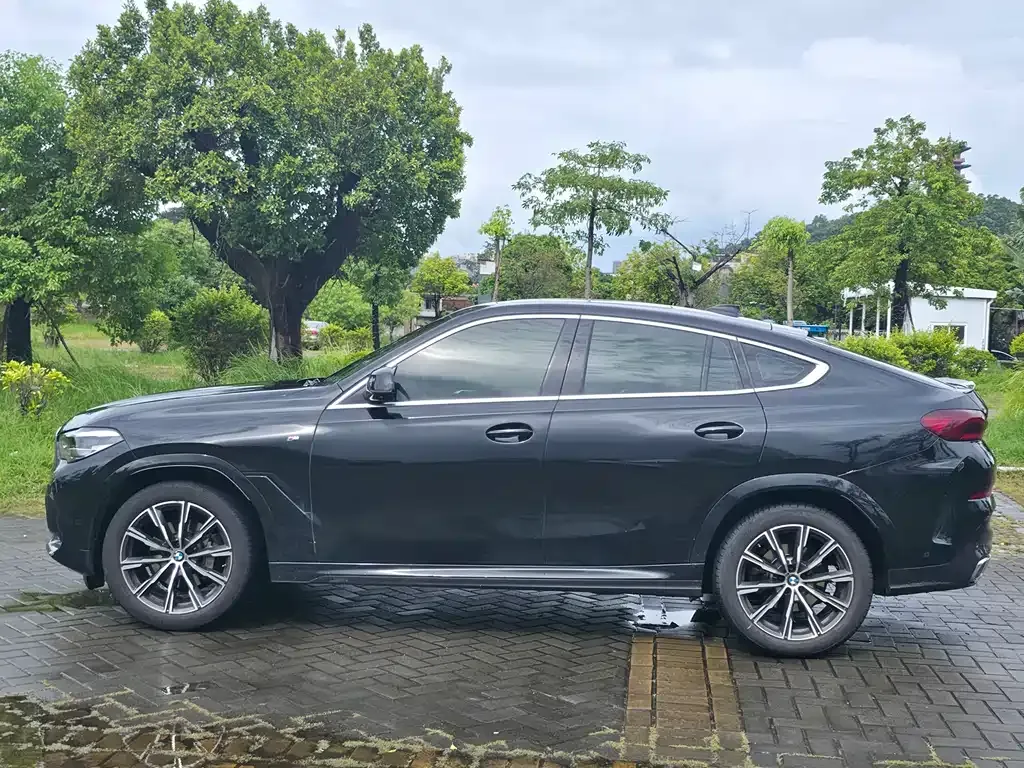 BMW X6 2021 из CN, фото 7