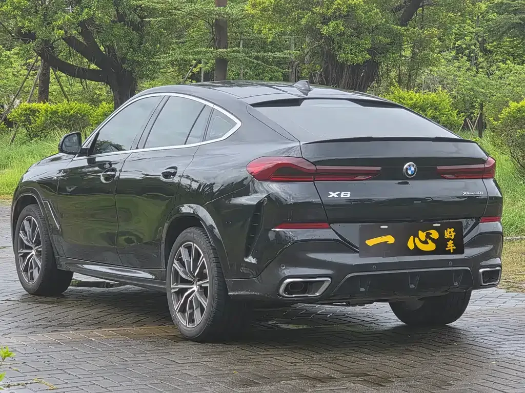 BMW X6 2021 из CN, фото 8