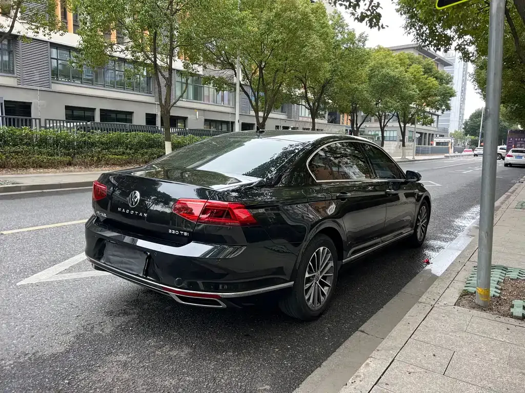 Volkswagen Magotan 2021 из CN, фото 8