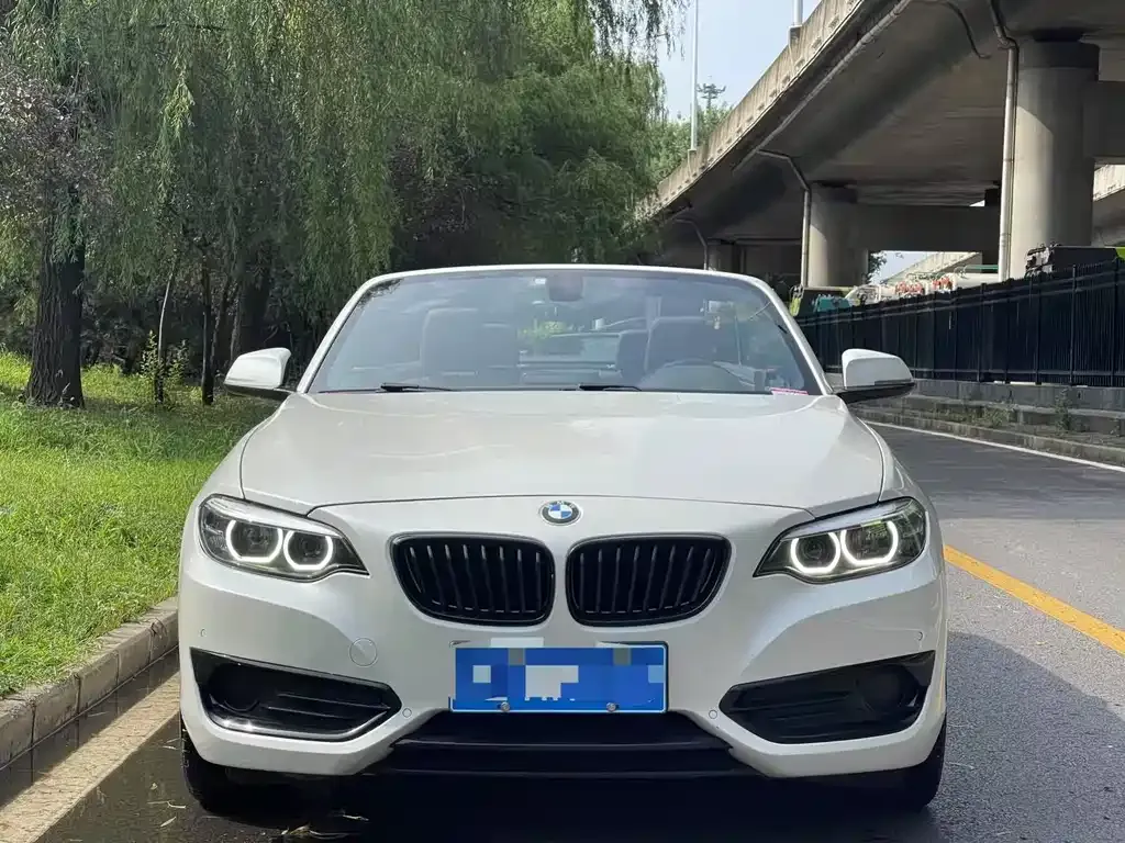 BMW 2 Series (Import) 2021 из CN, фото 2