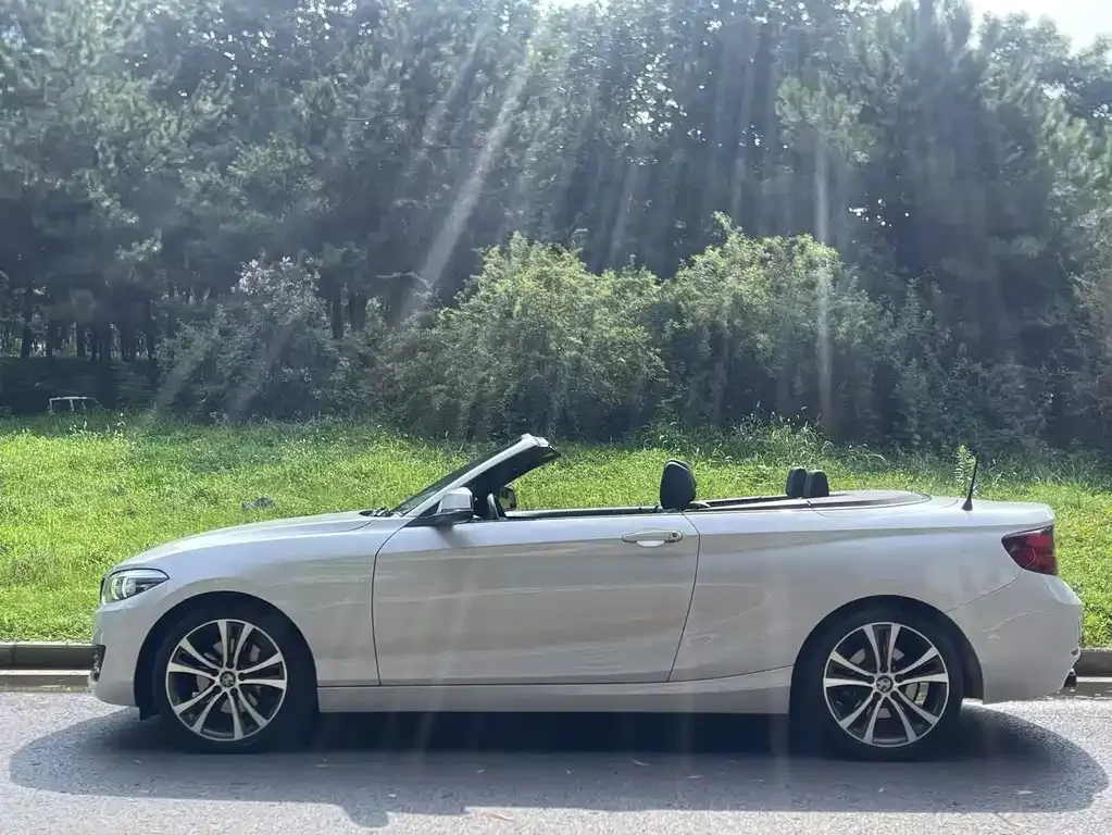 BMW 2 Series (Import) 2021 из CN, фото 3