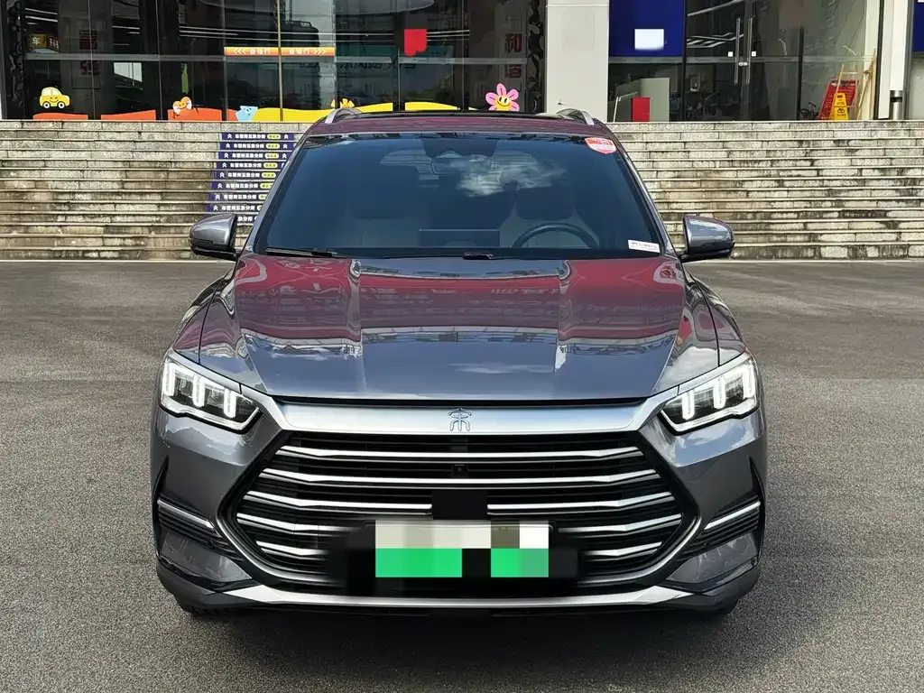 BYD Pro New Energy 2022 из CN, фото 2