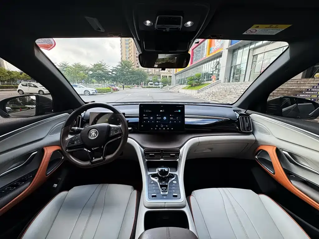 BYD Pro New Energy 2022 из CN, фото 6