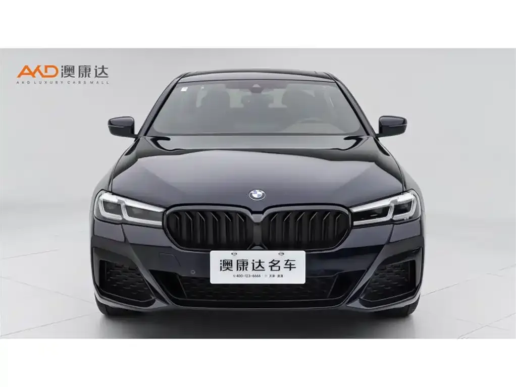 BMW 5 Series 2024 из CN, фото 2