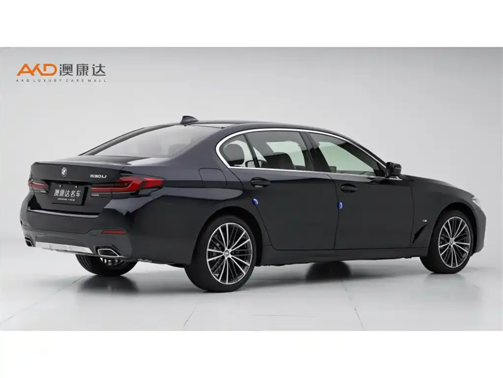 BMW 5 Series 2024 из CN, фото 3