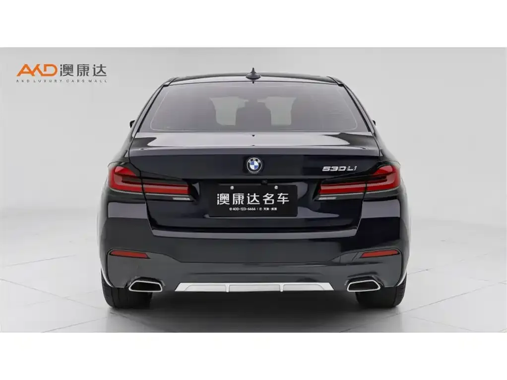 BMW 5 Series 2024 из CN, фото 4