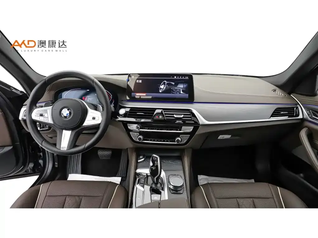 BMW 5 Series 2024 из CN, фото 5