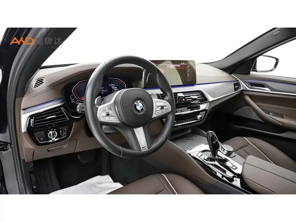 BMW 5 Series 2024 из CN, фото 6