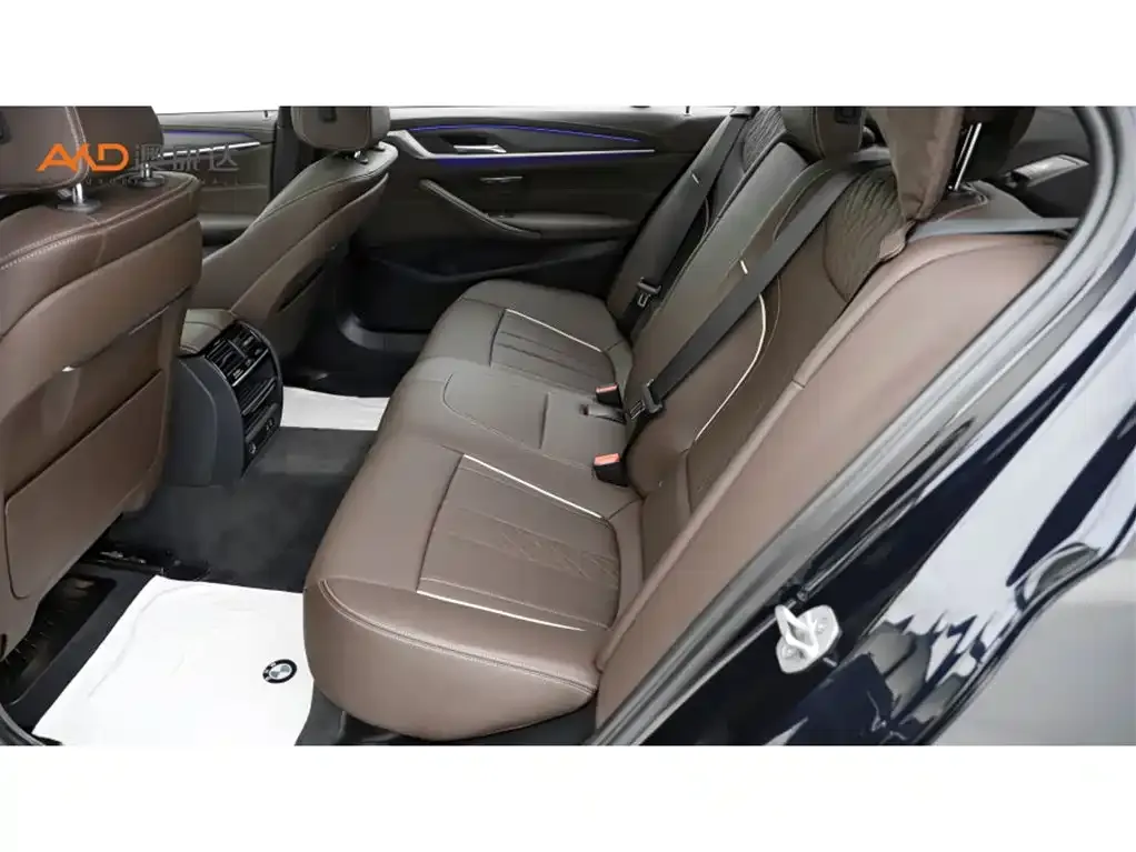 BMW 5 Series 2024 из CN, фото 7