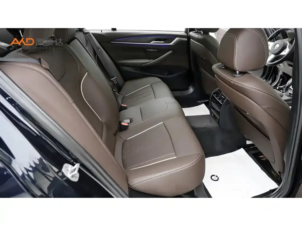 BMW 5 Series 2024 из CN, фото 8