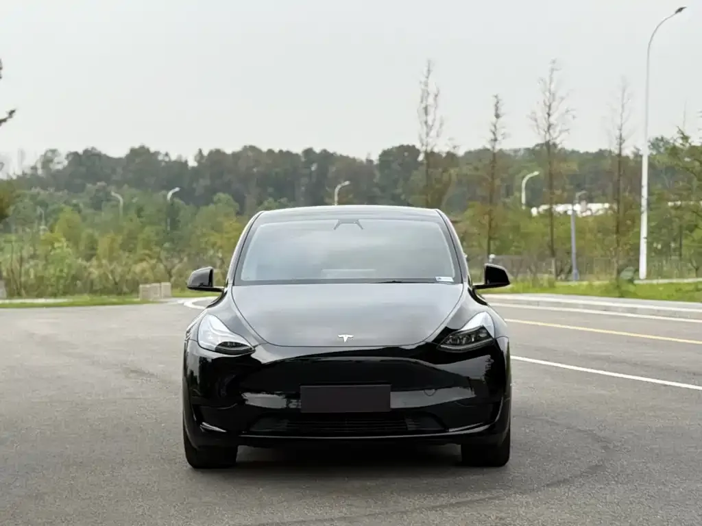 Tesla Model Y 2023 из CN, фото 1