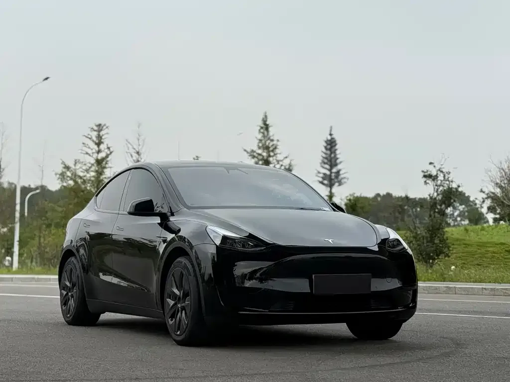 Tesla Model Y 2023 из CN, фото 2