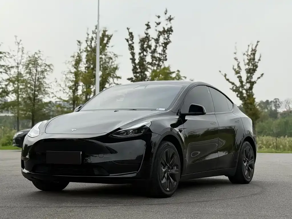 Tesla Model Y 2023 из CN, фото 3