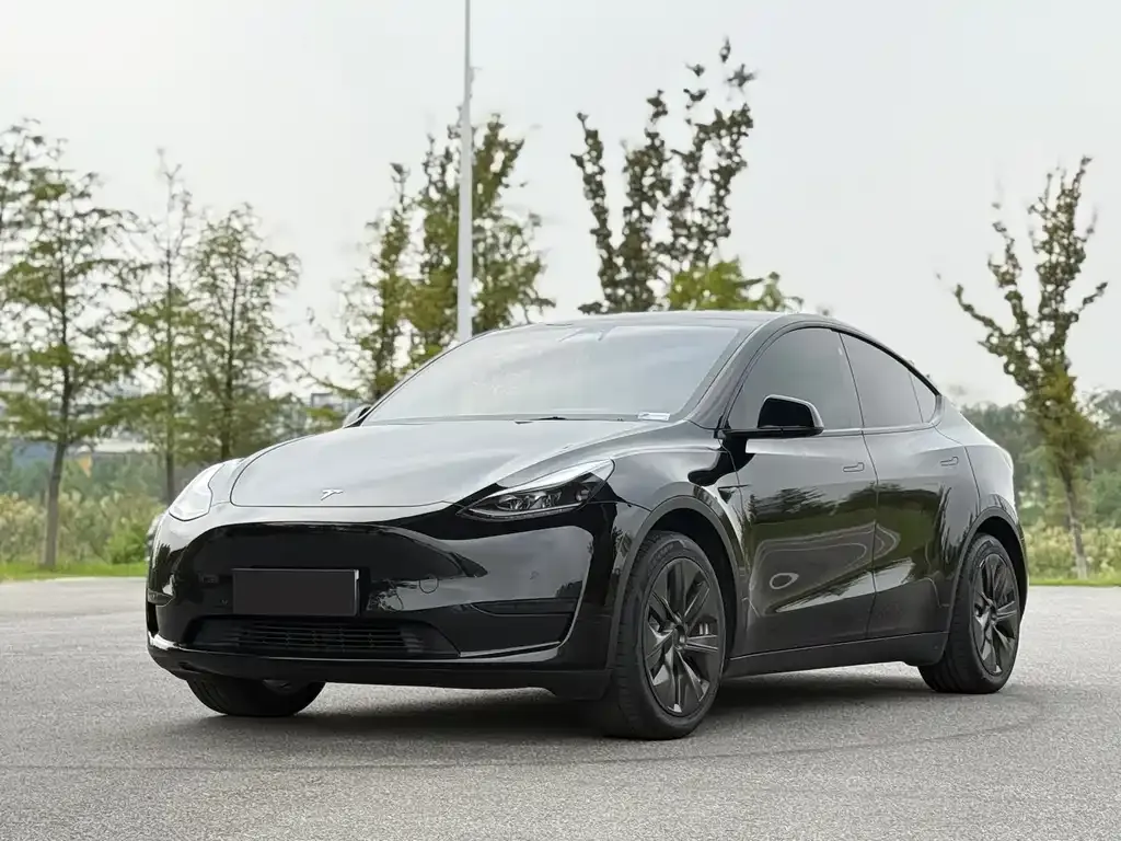 Tesla Model Y 2023 из CN, фото 4