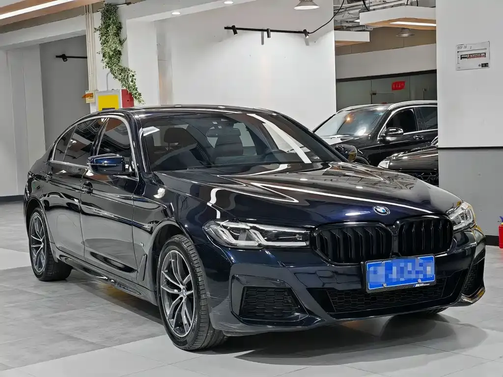 BMW 5 Series 2022 из CN, фото 3