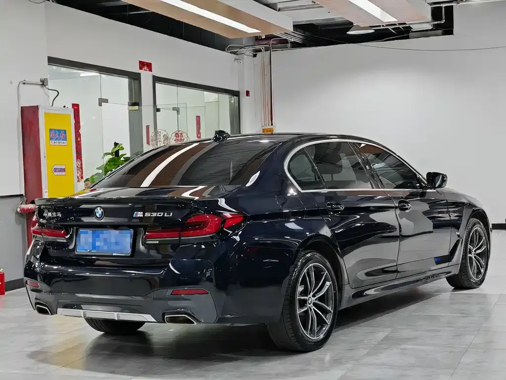 BMW 5 Series 2022 из CN, фото 4