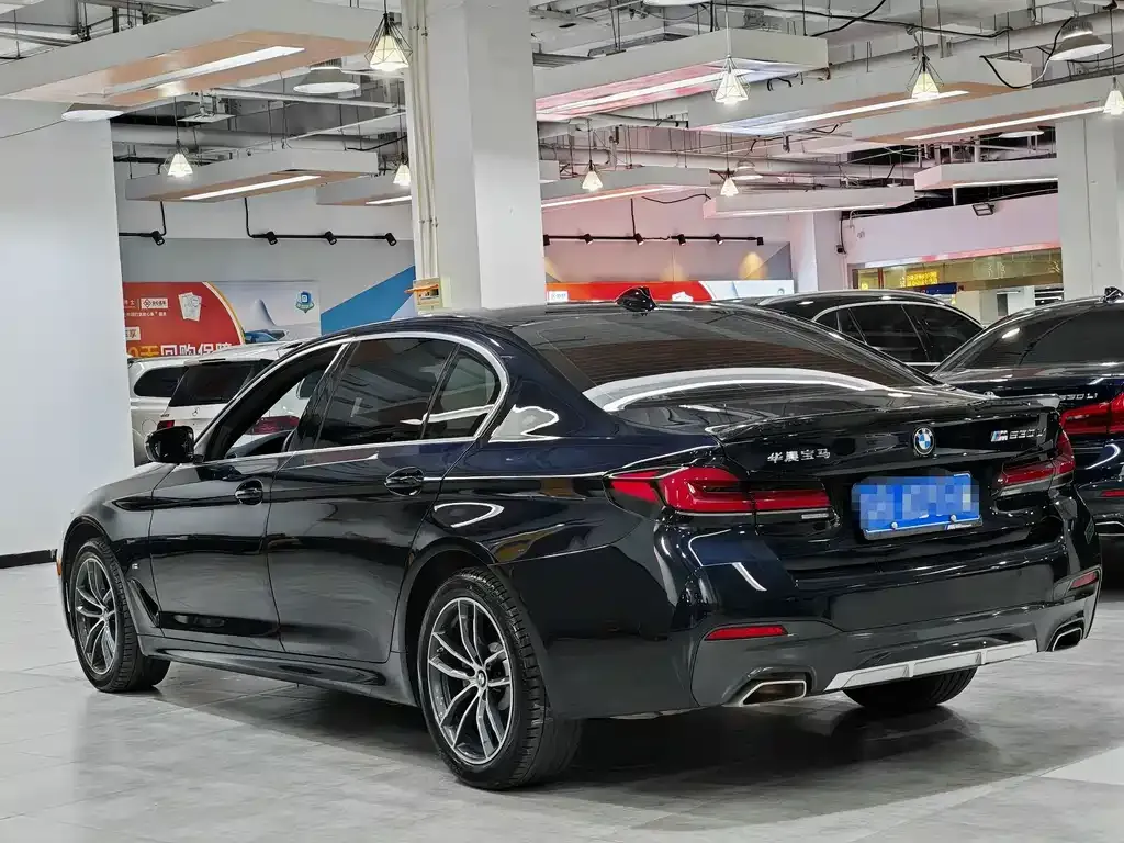 BMW 5 Series 2022 из CN, фото 6