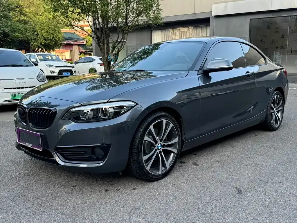 BMW 2 Series (Import) — фото 1