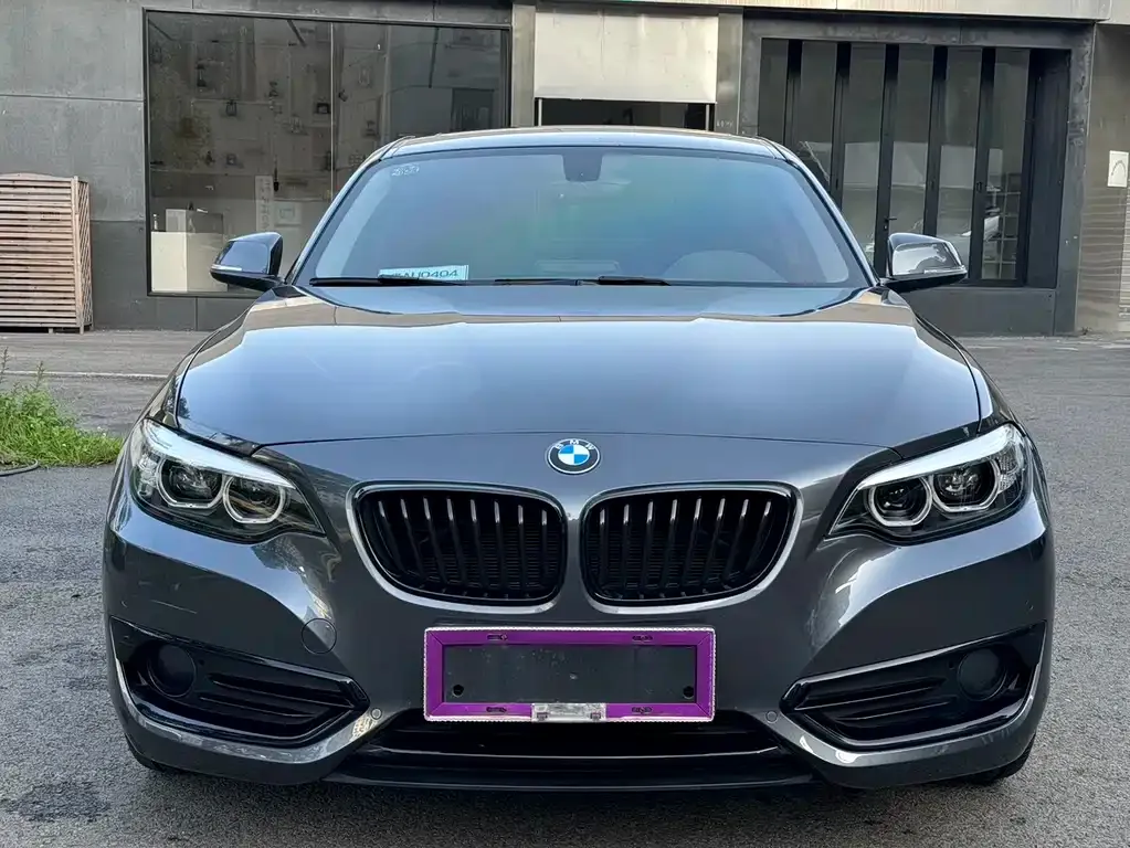 BMW 2 Series (Import) — фото 2