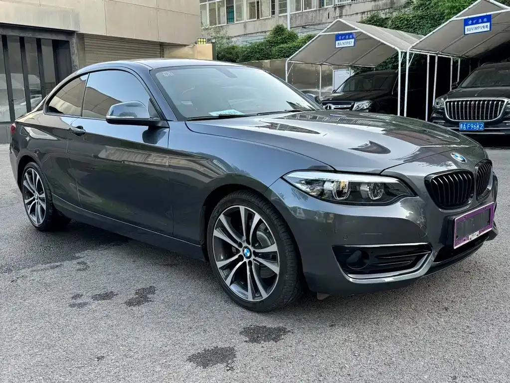 BMW 2 Series (Import) — фото 8