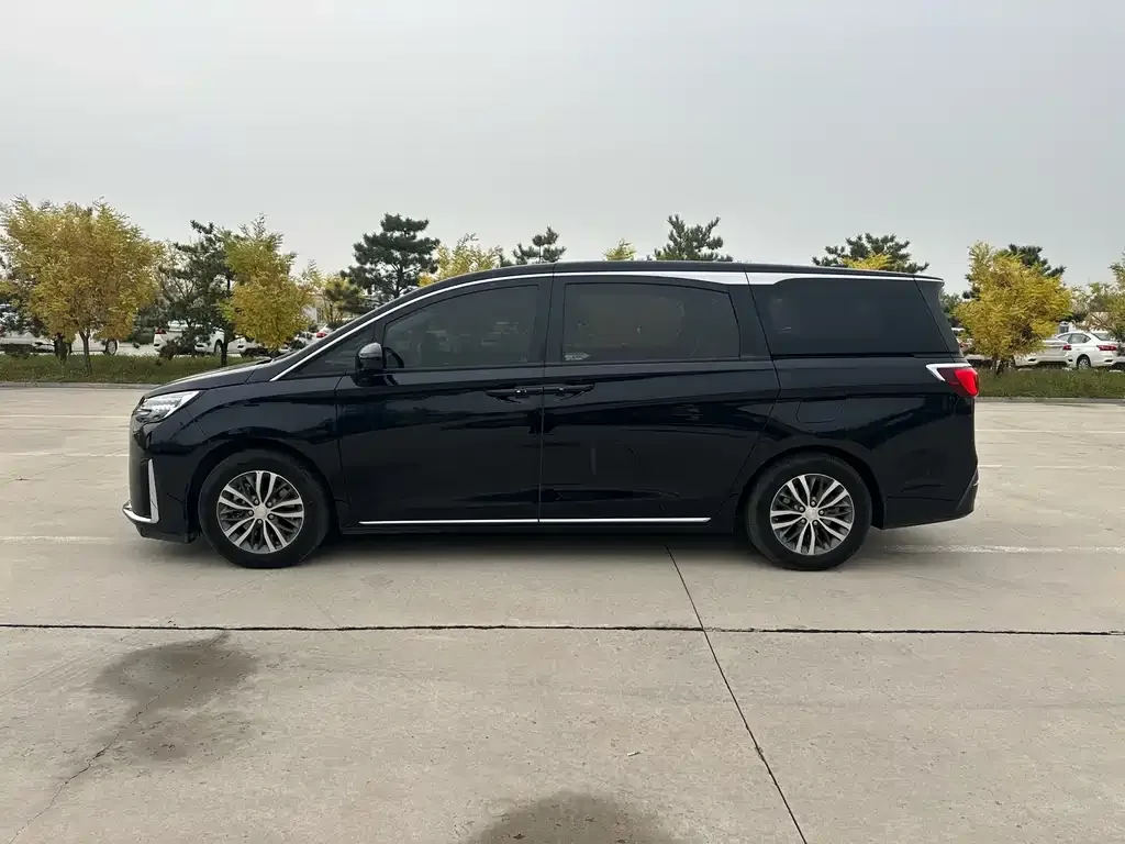 Buick GL8 2023 из CN, фото 10