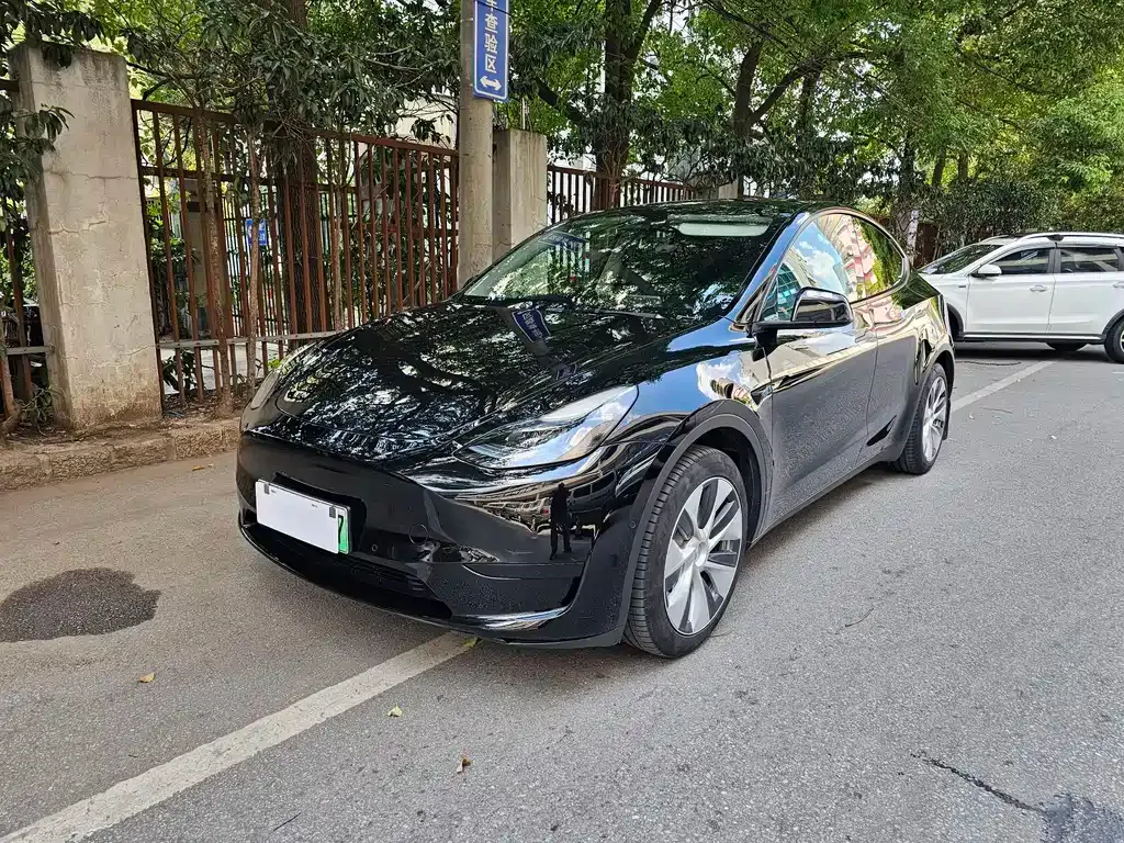 Tesla Model Y 2022 из CN, фото 1