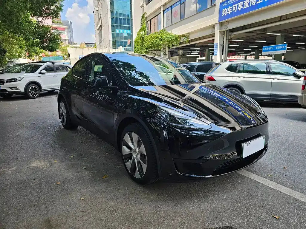 Tesla Model Y 2022 из CN, фото 3