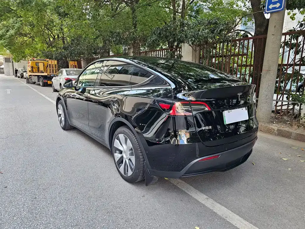 Tesla Model Y 2022 из CN, фото 6