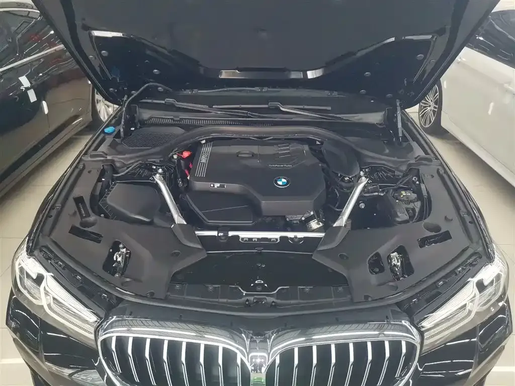 BMW 5 Series 2023 из CN, фото 10