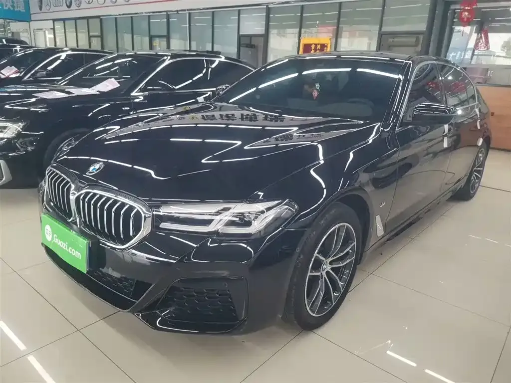 BMW 5 Series 2023 из CN, фото 2