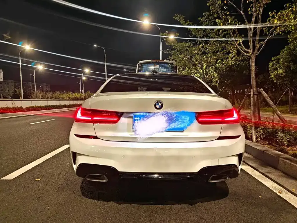 BMW 3 Series 2021 из CN, фото 8