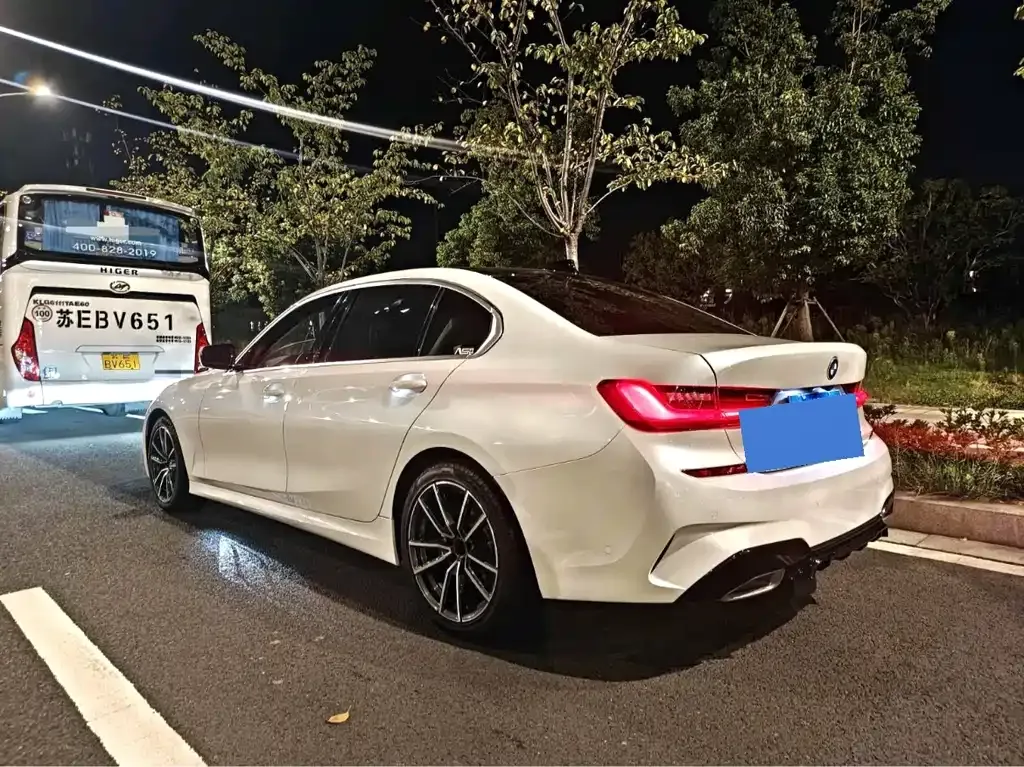 BMW 3 Series 2021 из CN, фото 9