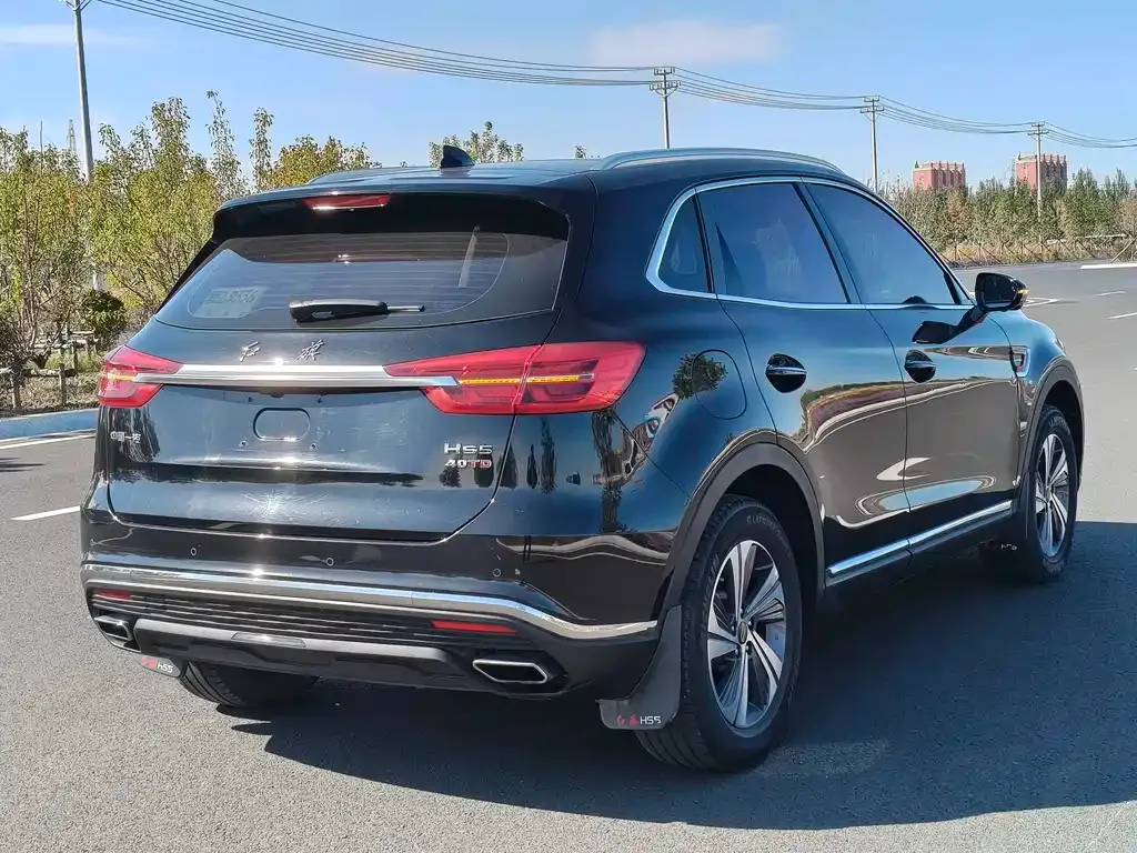 Hongqi HS5 2021 из CN, фото 6