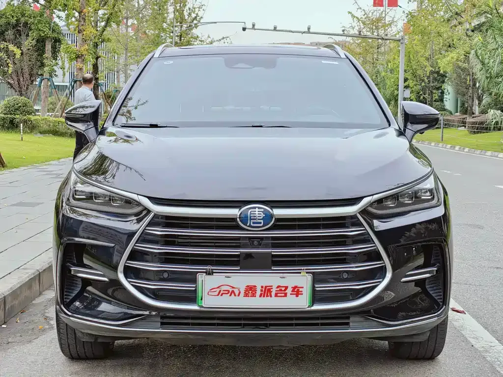 BYD Tang New Energy 2021 из CN, фото 2
