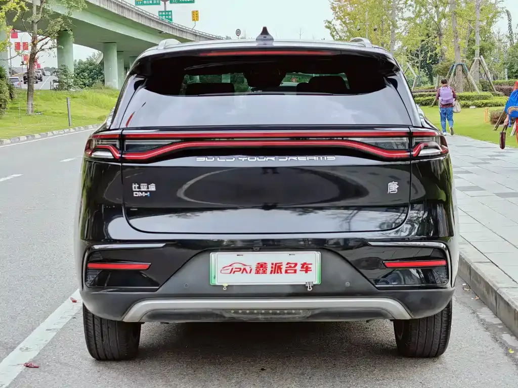 BYD Tang New Energy 2021 из CN, фото 5