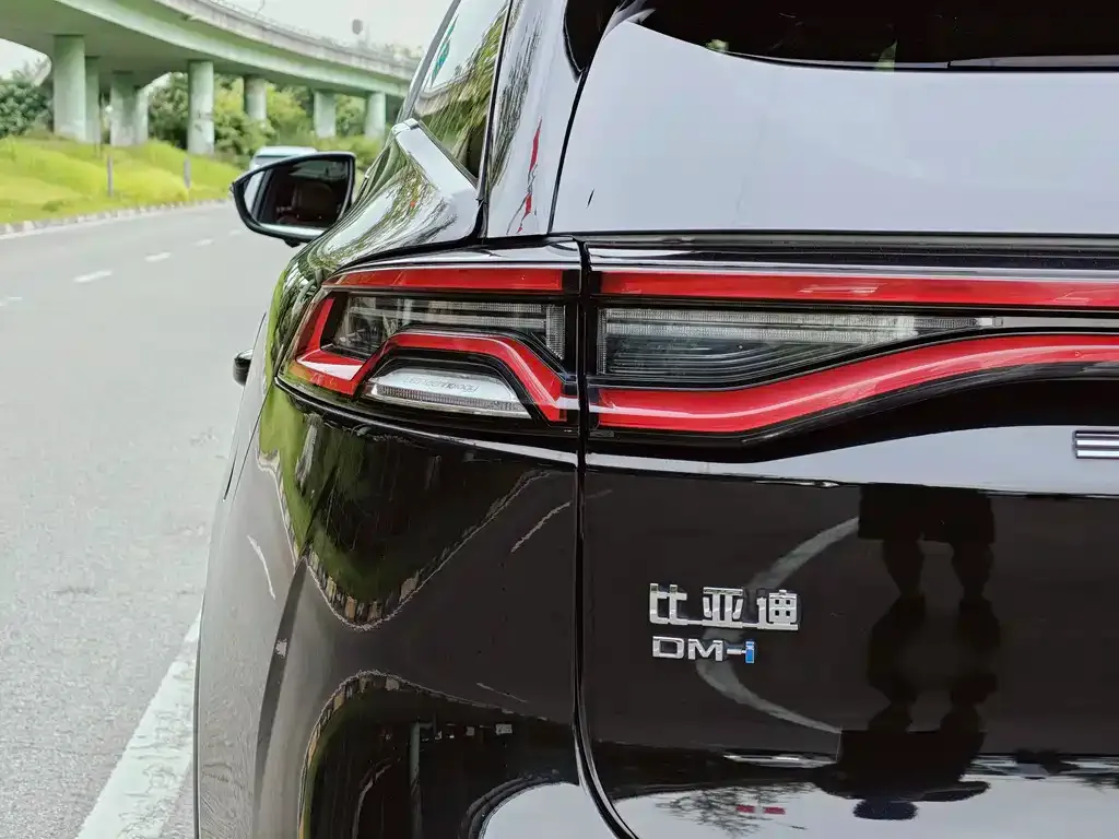 BYD Tang New Energy 2021 из CN, фото 6