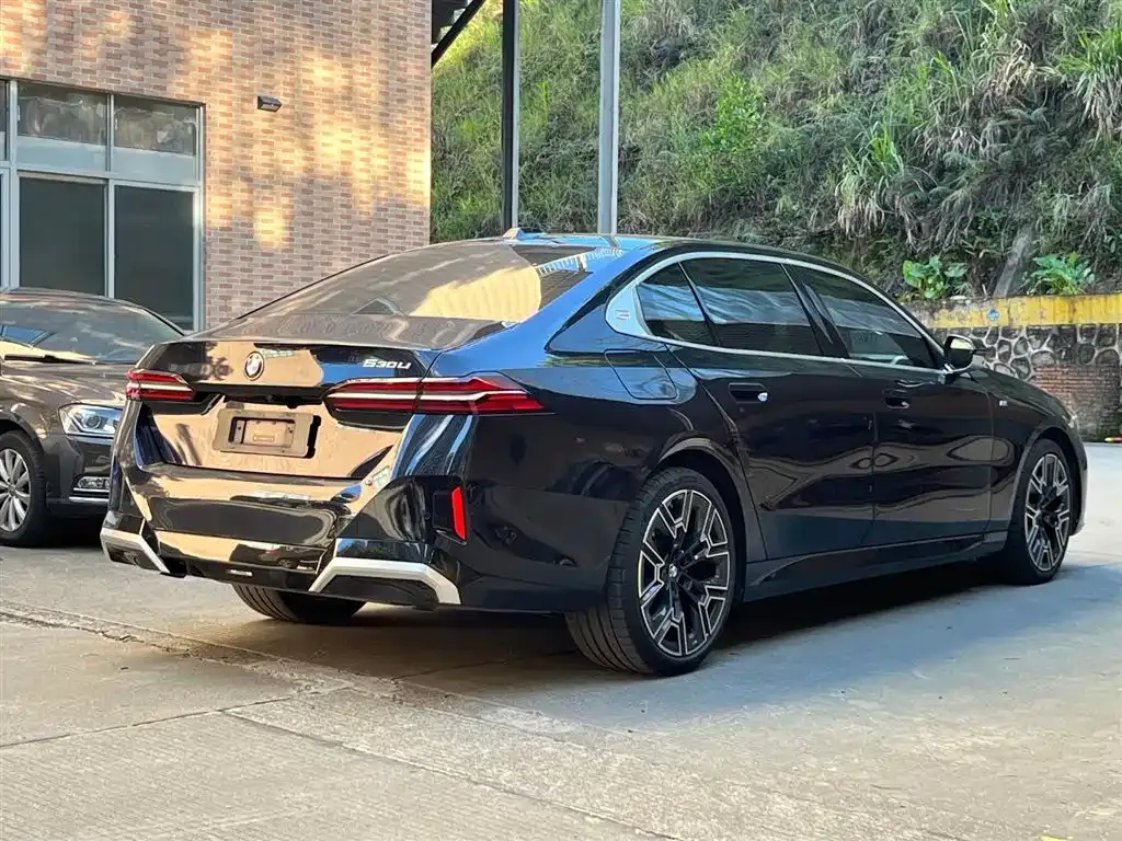 BMW 5 Series 2024 из CN, фото 8