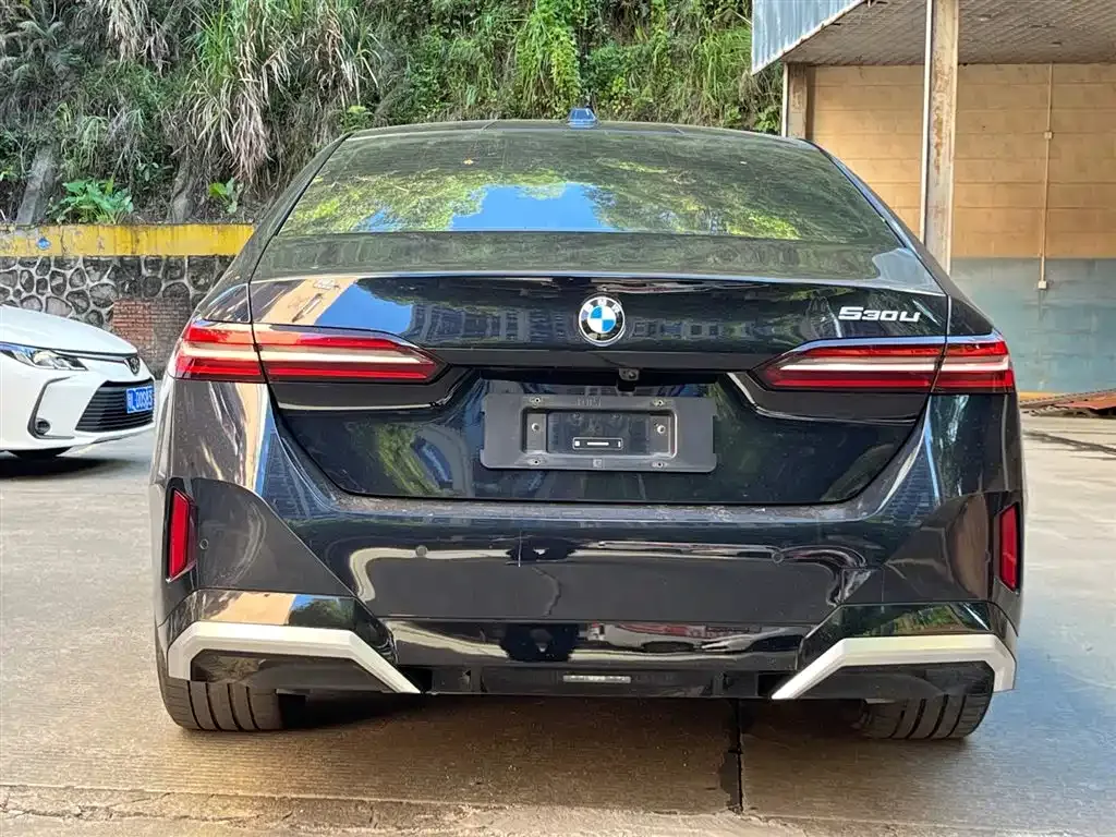 BMW 5 Series 2024 из CN, фото 9