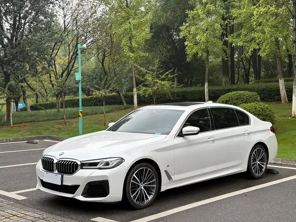 BMW 5 Series 2021 из CN, фото 1